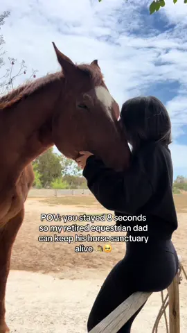 Please comment “ ❤️ “ to help share my dads business across the world! 🌎 #horses #sanctuary #jewelry #animalsoftiktok #horsefarm 