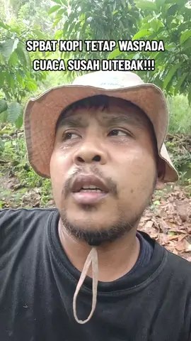 TETAP HATI2 DAN JANGAN TERLALU LARUT SORE SAAT DI KEBUN #petani #petanimuda #petaniindonesia🇮🇩🇮🇩🇮🇩🌿🌿 #lampung #harimau 
