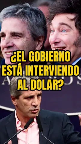 El gobierno de Milei anuncio que el tesoro va a intervenir al dolar hasta fin de la campaña electoral. Qué significa esto? En este video lo dejo bien en claro para que no te comas las mentiras del kirchnerismo. #javiermilei #mileipresidente #patriciabullrich #victoriavillarruel #cristinakirchner 