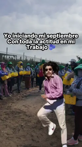 AGRÍCOLA CERRO PRIETO. 🫐 #CosechaArandano #Modulo10 #Sector5 #AuxiliarDeApoyo 