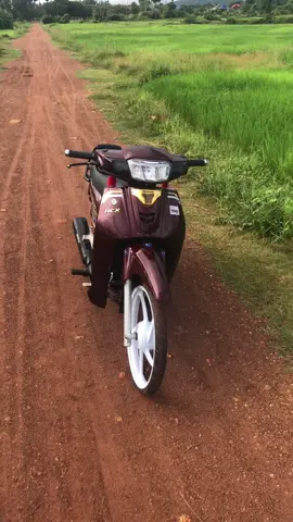 #❤️ #ទេសភាពស្រុកស្រែ🌄🏜️🌱🌼🌾🐟 #foryou #ចង់យាយចឹង #នាទីធ្លាក់like💔🙃 