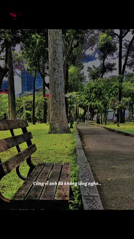 Vì anh không muốn mất em lần nữa, … #bắtđầulạitừđầu🥰 #future #mèo #haydeanhyeuemlannua #nhachaymoingay 