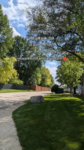 🌻 #fypシ 