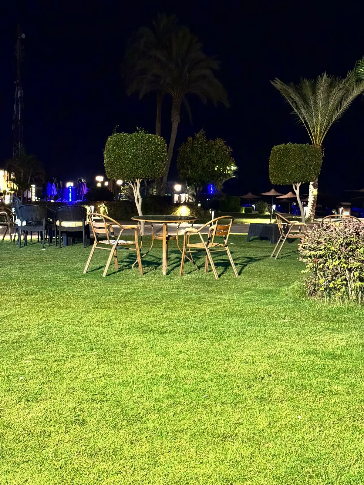 #الإسماعيلية #نمره_٦ #your_coffee #أغاني #تامر_عاشور 