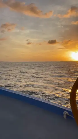 Good Morning #Maldives #🇲🇻 #foryou #foryou #