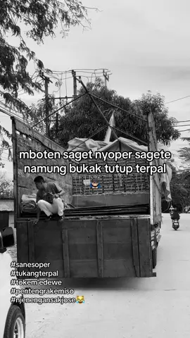 aku ngunu opo😹 #tokemedewe #jalesvevajayamahe #4u #blitar24jam #kernetkelasberat 