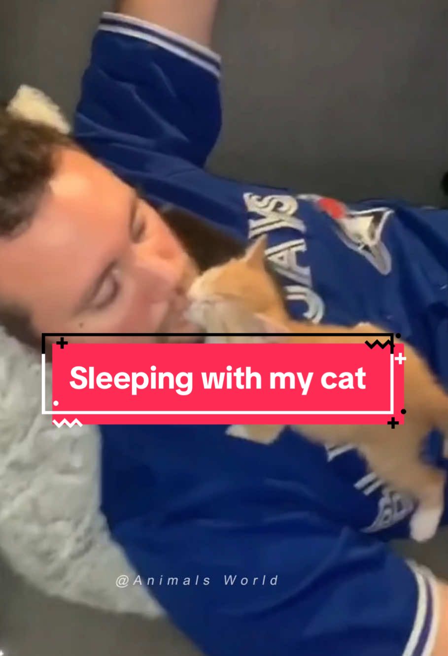 When your cat decides you’re their safe place 🐾🥰 #cat #cute #funny #foryou #fyp 