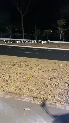 Do óbvio né 🤷🏻‍♂️🤷🏻‍♂️ #fyp #foryou #vaiprofycaramba 