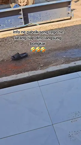 nek enek di info bolo 🤣🤣🤣 #fypシ゚ #anaksingkong #singkongbalap🤙 
