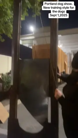 MUSIC FESTIVAL At the dog show in Portland Oregon, dog trainers brought a guillotine to 2 herd the dogs better into their dog pens. The dogs MUST behave. ##portlandoregon##portland##guillotinedefense##dog##music
