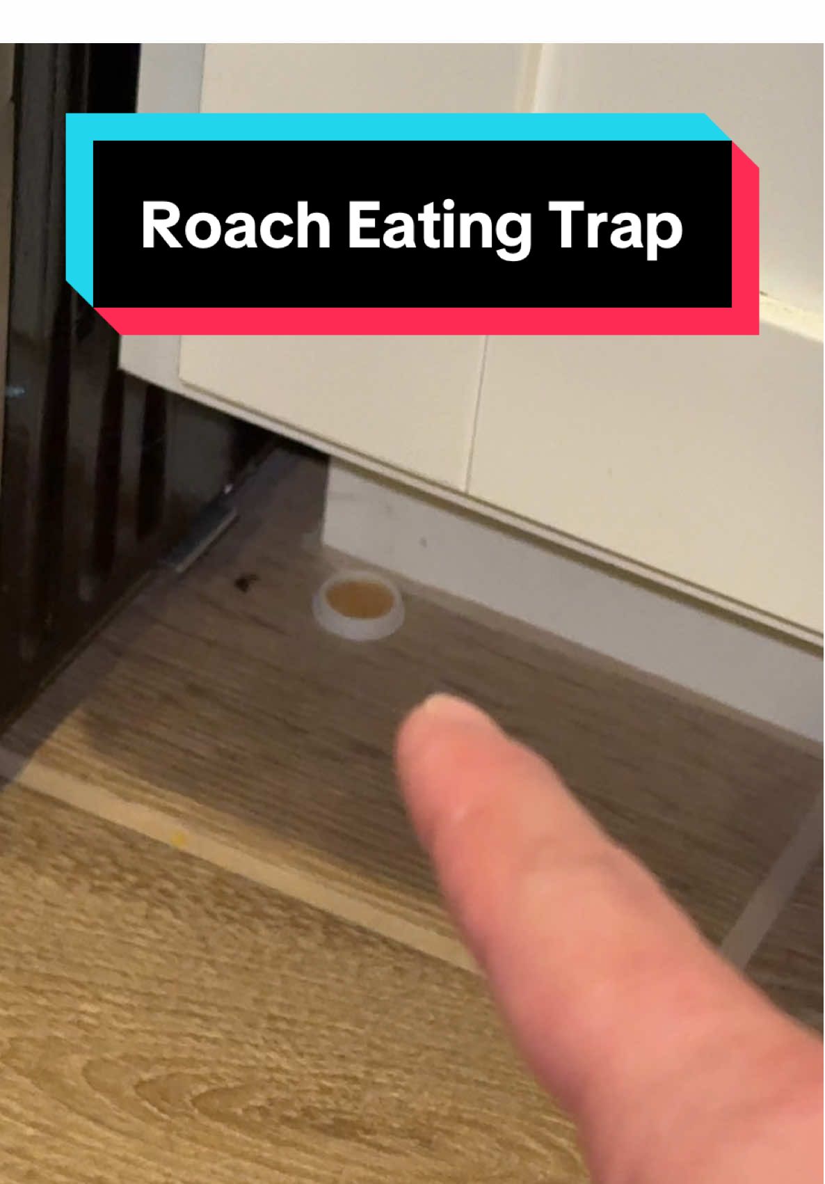 Roach removal trap #pestcontrol #roachtrap #tiktokshopcreatorpicks 