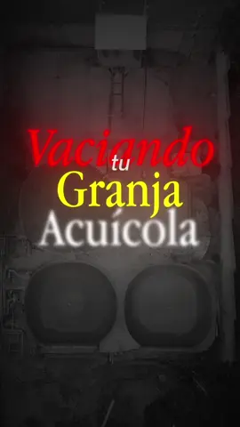 “Si tu granja ‘no crece’ puede que estés perdiendo miles por estos 3 errores: alimentación, agua y electricidad 24/7. Aquí te dejo cómo corregirlos sin humo. ¿Quieres que revisemos tu operación y armemos tu tablero? Manda DM y nos ponemos manos a la obra.” #acuicola #acuicultura #tilapia #business #granjaacuicola