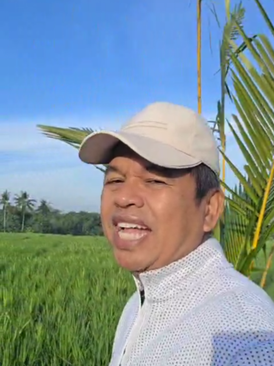 Haji ngagorowok Kuring Datang