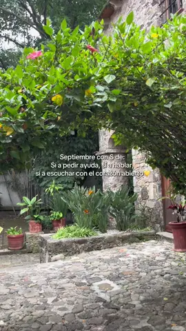 Hablar sana, pedir ayuda también es un acto de valentía. En este septiembre escuchar con el corazón puede salvar vidas 💛✨ #septiembreamarillo #septiembre #prevencion #saludmental #esperanza 