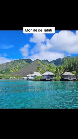 😍😍😔😔 TU ME MANQUE TELLEMENT MON ÎLE 😔😔😔😭😭😭😭🇨🇵🇵🇫#mataieagirls🤪 #tahitianvibes #tahitiangirl987 #iaorana #unepepite 