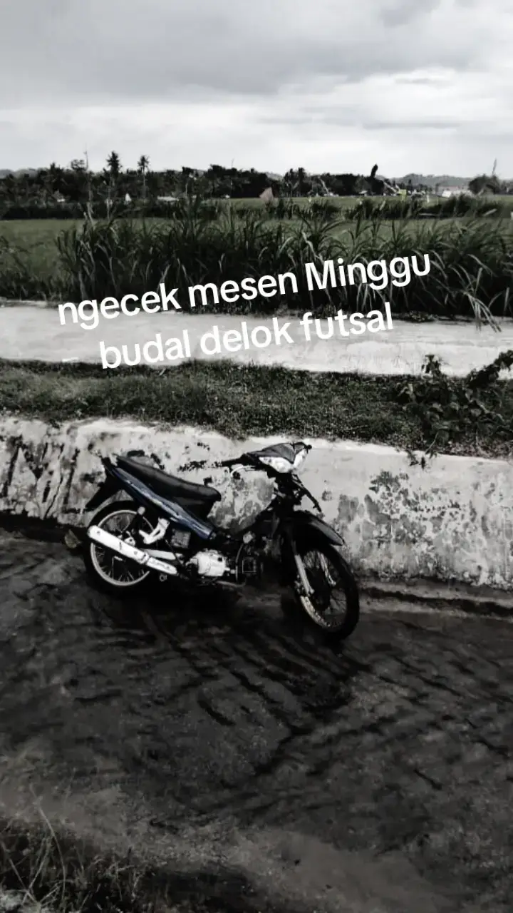 inf barengan 🚀#info #espatjaya#estipojaya#gunungkidulan