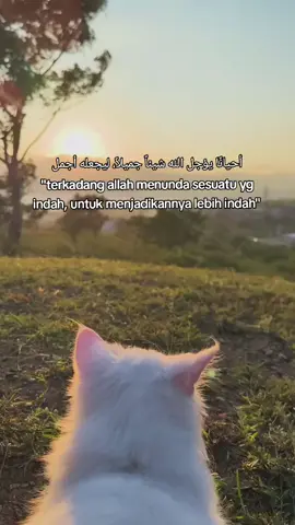 #arabicsong #remindertomyself 