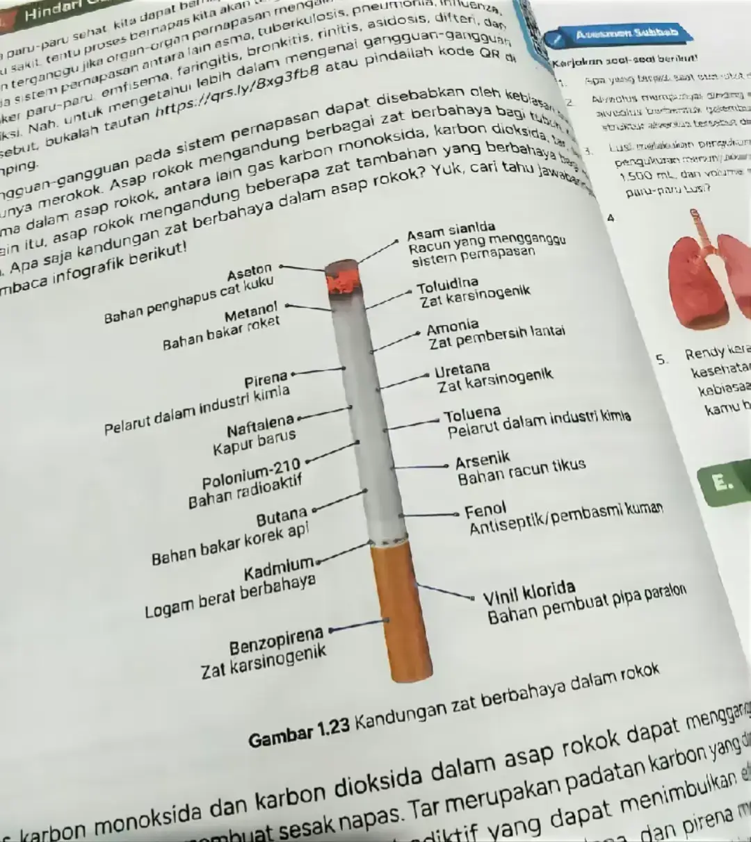 iye bang tau kok gua mah kalo roko emang banyak bahan kimia dan nikotin yang ngerusak paru - paru, tapi gua butuh itu buat nge lewatin hari yang selalu ada gebrakannya, ga semua laki - laki punya someone to talk bang ada juga sebagian ngeluapin semua lewat asap yng di hirup.  #fyp #fypシ #smokingkill🚭 