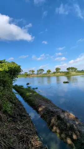 Raw Video No Edit  🥶☁️☘️🍃🌿✨ #foryou #foryoupage #fyp  #viral #viralvideo #tiktok #trending  #capcut #night #pixel #teampixel