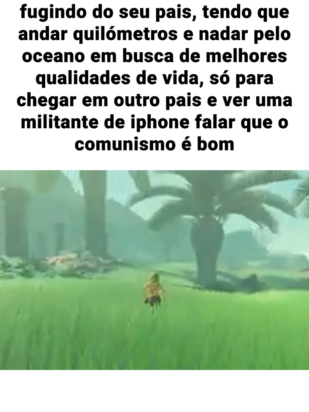 #fyp #foryou #comunismo #meme #zelda #pov