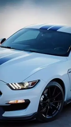 #CapCut 