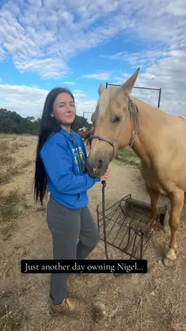 Yes he is okay!! We got bolt cutters and got his leg out. He just had a nick on the inside and it might get a little swollen but nothing bad happened! Thank God for watching over him and letting us get him out a situation that could’ve been bad. But now we can laugh about it… I love my horse… 🫣 - #horseaccidents #horsesoftiktok #horsefails #equestrianfail #oopsmoment 