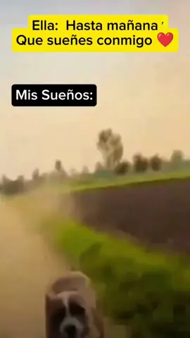 mis dulces sueños 🤠