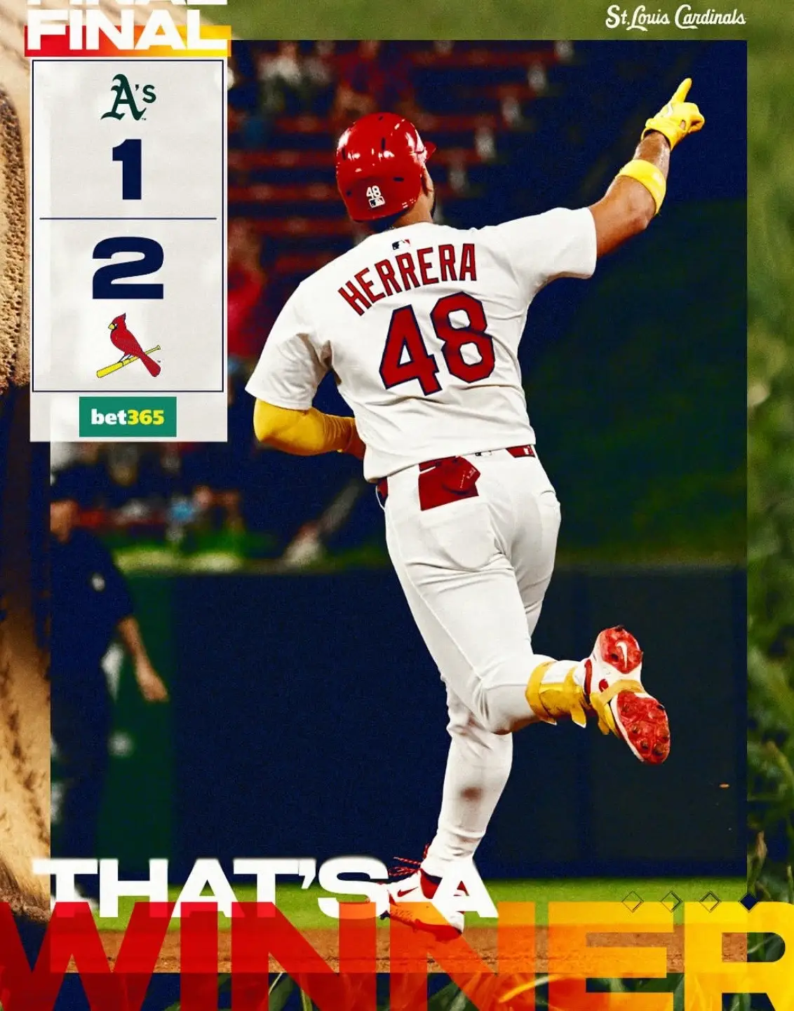 #trending #cardinals #winner #redbirds #67 @St. Louis Cardinals 