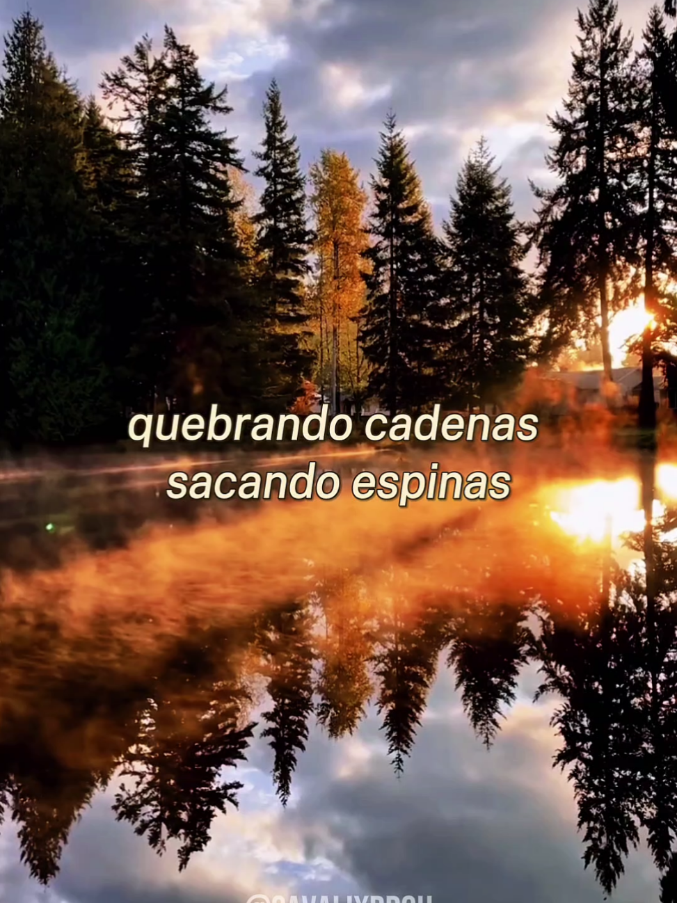Alaba a Dios #Dios #canciones #jesús #alabanzas_cristianas #alabanzas 