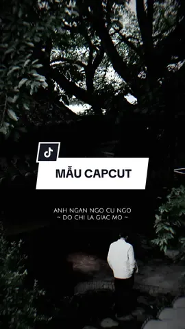 #CapCut Anh ngẩn ngơ cứ ngỡ đó chỉ là giấc mơ anh ngẩn ngơ cứ ngõ #capcutmaster #xuhuong #nhachaymoingay 
