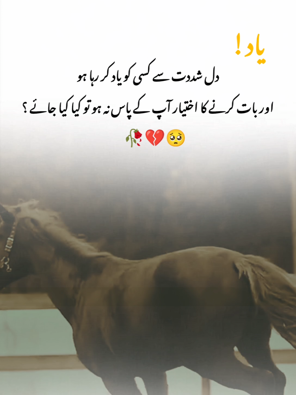 it's true 🥀💔🥺  #fypシ゚ #fypviralシ #urdupoetry #onemillionaudition
