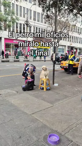 Un rato de show 😂 #perrostiktokers #humor #risas #funnytiktok #viralvideos 