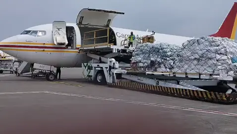 PROSES LOADING CGK-TRK VIA FREIGHTER ECA AIR ✈️ #ekspedisibandara #cargomurahjakarta #cargosoekarnohatta #jasapengirimanbarang 
