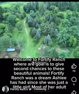 They have over 24 horses on the property right now. 14 rescued and even more that have been rehabilitated and adopted out and not even close to done yet! Help us help this beautiful animals, from rabbits, chicken and ducks, To Goats pigs donkey and horses. Hopefully cows in the near future 🤗🤭🐮@Ashlee Ann 🩷 #rescuehorses #noanimaeftbehind