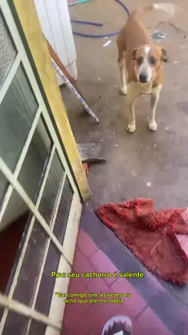 #bob 