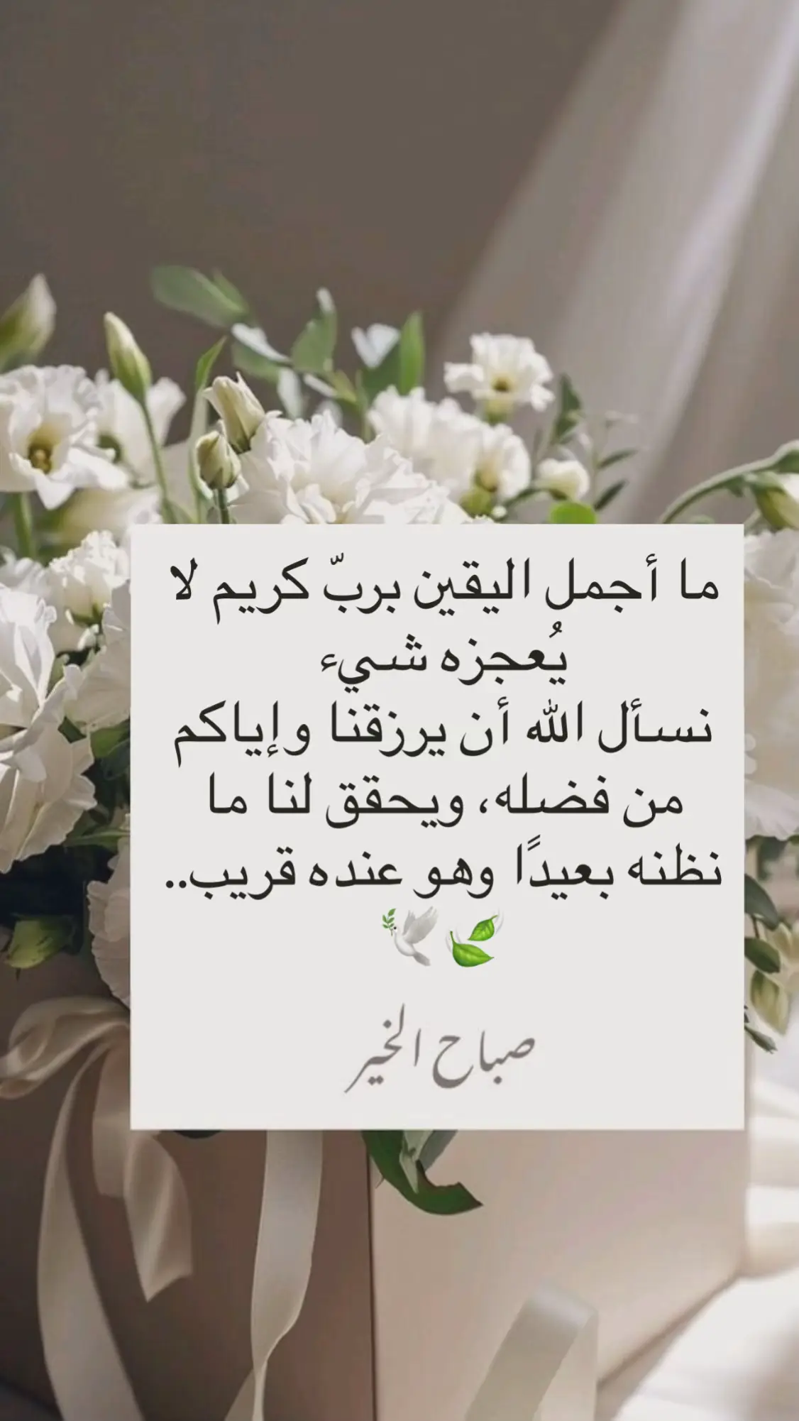 #صباح_الخير #اكسبلور #بدون_موسيقى #explore #foryou 