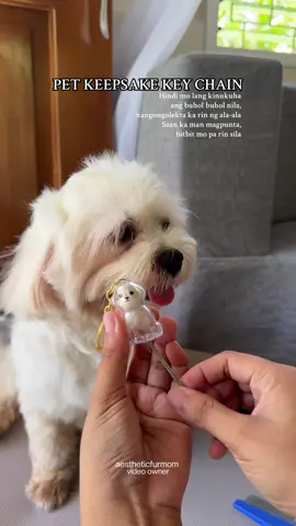 Pet Keepsake Keychain🫶 May lagayan na ako ng mga balahibo nila after grooming🥹 #petkeychain #petkeepsake #pets 