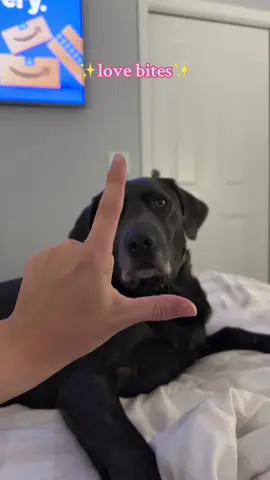 a very nibbly boy