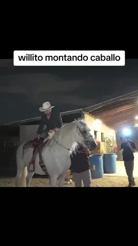 caballo bailarín #westcol #twitchwestcol #westcoltiktoker #colombia #mafer_rox #nocopy #Viral #fyp #parati #funny