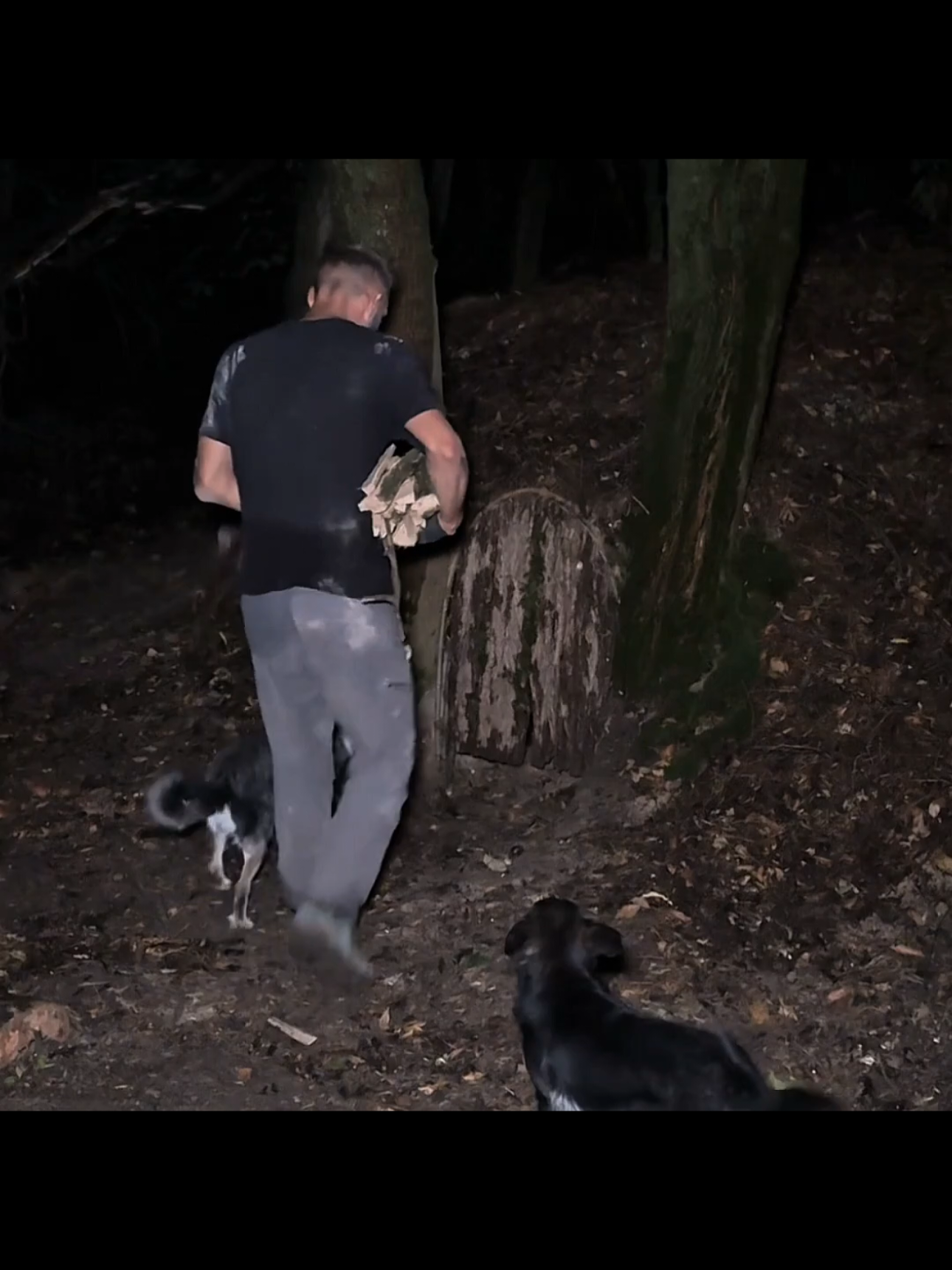 #survival #Outdoors #camping #bushcraft #shelter 