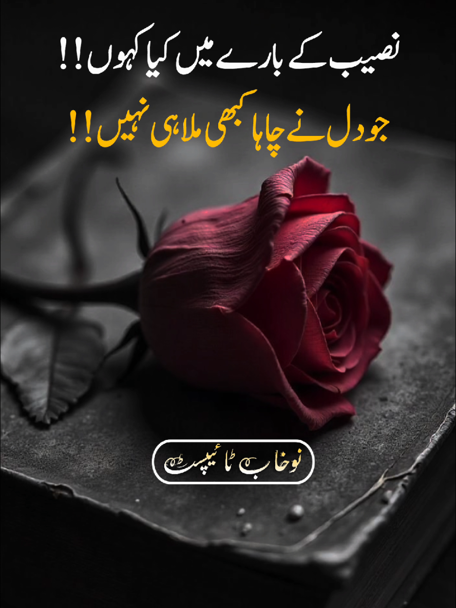 #foryoupage #nadantypist_01 
