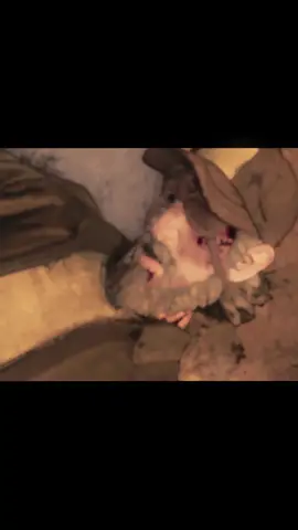 damn telltale cooked with his character | #twdg #telltale #clementine #kenny #thewalkingdead 