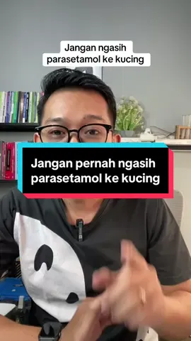 Jangan pernah ngasih parasetamol ke kucing, tar bisa mati. #apoteker #obat #parasetamol #kucing 