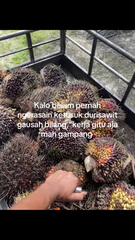 paham kah🫵🏾#petanisawitriau🌴#sawitbalapgranmaxpunbalap😂 #foryoupagetiktokviral#masukberandafypppppppppppppppシ 