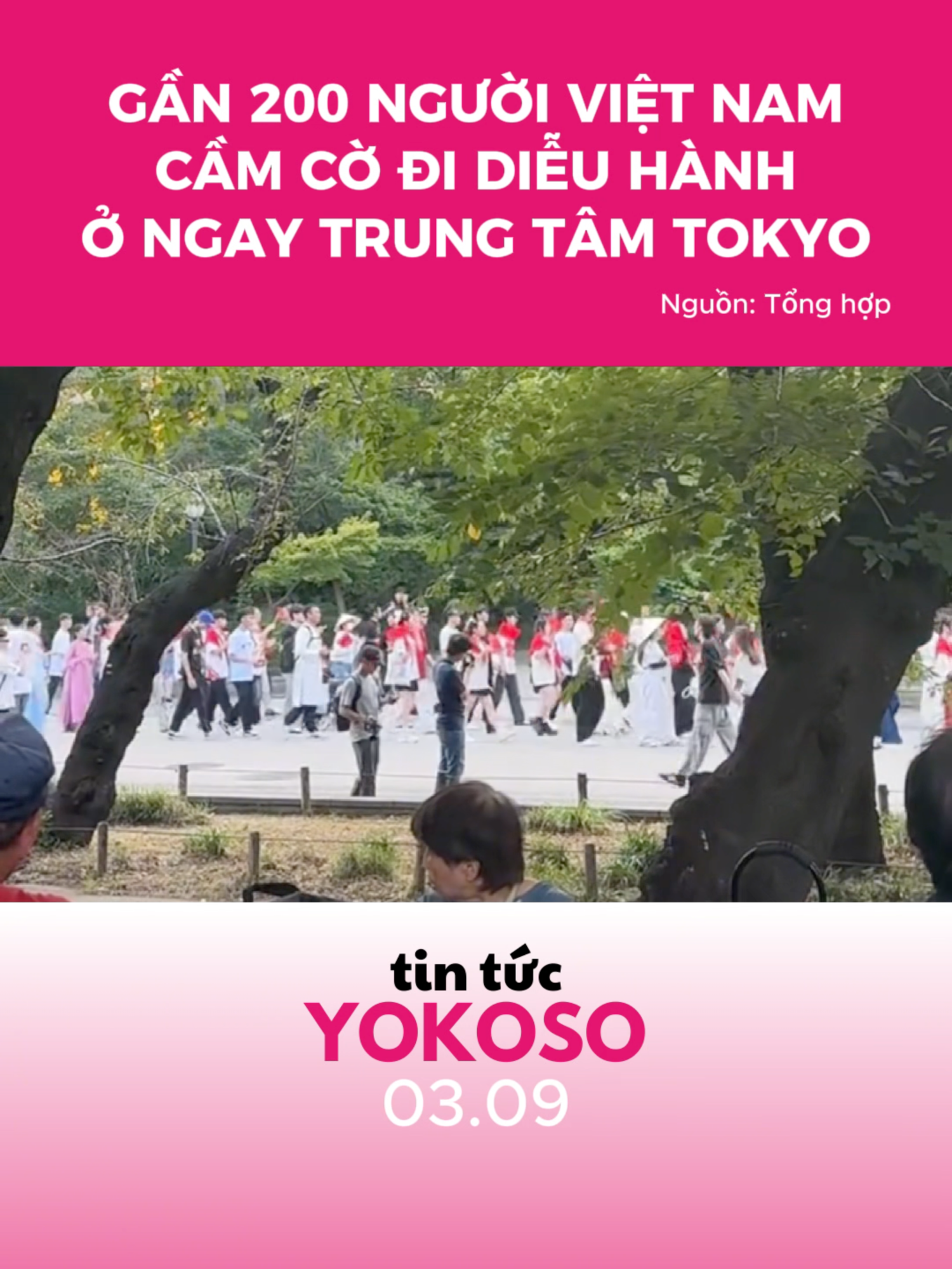 200 người Việt cầm cờ đi diễu hành ở Tokyo