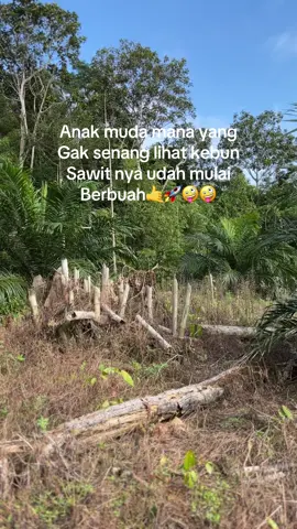 2 thn udah segacor ini 🌴🌴#ppksyangambi #promomakangajian #fypシ 