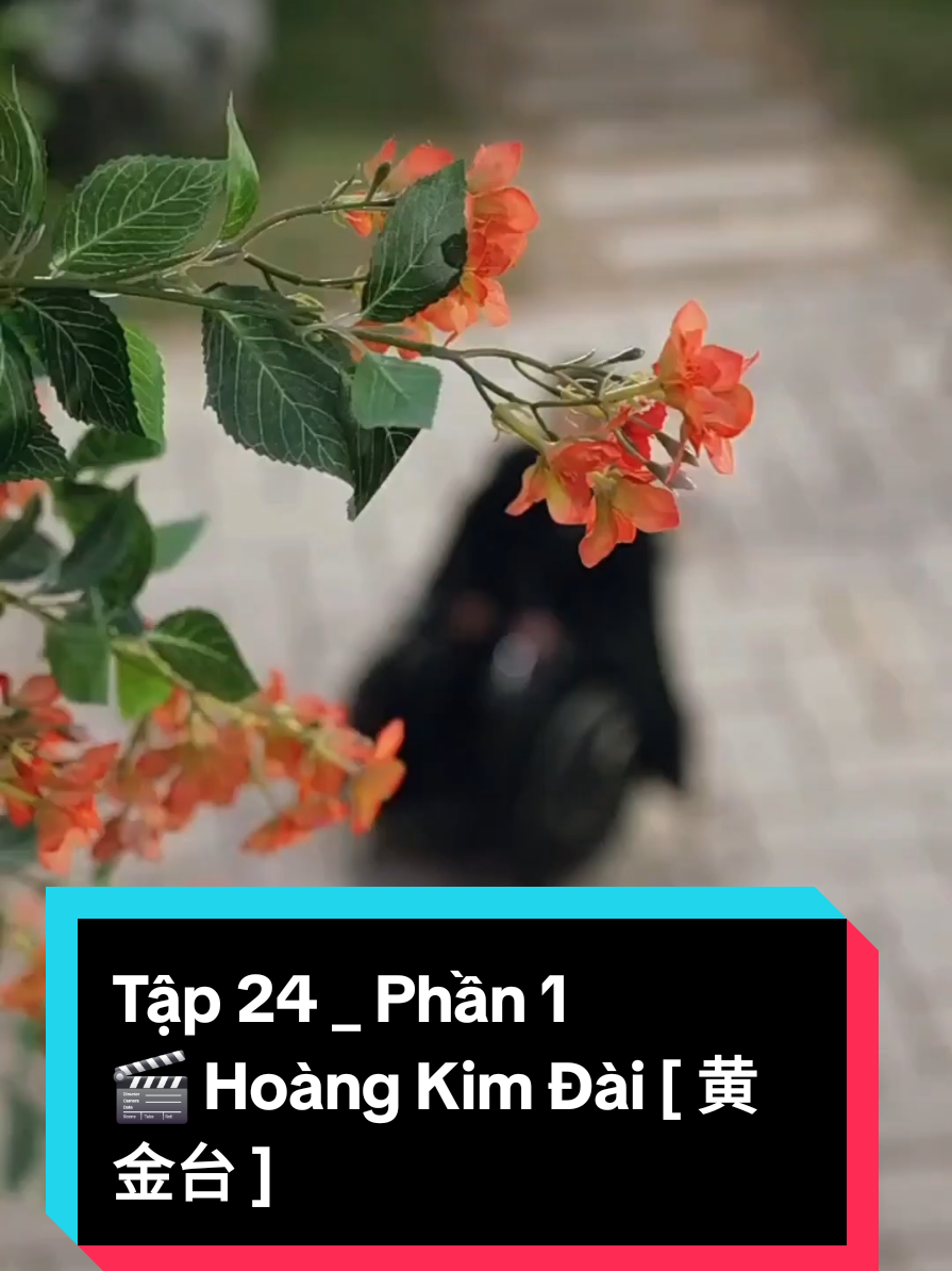 Tập 24 _ Phần 1 🎬 Hoàng Kim Đài [ 黄金台 ] _ Tên sách : Sân Thượng Vàng (黄金天台) _ Diễn viên chính • Hà Thông Duệ (何聪睿) _ vai Trữ Khâm và Ngô Minh • Chu Hằng Vũ (周恒宇) _ vai Yến Lễ • Lưu Nhạc Dương _ vai Triệu Tiểu Vũ _ Nội dung  Bộ phim này có một chút hương vị của Lang Nha Bảng . Vị tướng bị gài bẫy , và thay đổi ngoại hình để trở thành cố vấn quay lại trả thù .  Anh ta che giấu danh tính của mình và giúp người bạn thân nhất là tứ hoàng tử Yến Lễ .  Hai người đã đồng ý sống chết cùng nhau , và họ sẽ làm bất cứ điều gì vì nhau ! Sau khi vị tướng gặp rắc rối , thế giới của hoàng tử thứ tư chỉ có một điều đó là trả thù và đền bù cho anh ta tất cả những gì mà hoàng tộc đã lấy đi của anh ! Tướng quân Trữ Khâm trở về trong chiến thắng , nhưng bị hoàng đế sợ hãi vì những chiến công quân sự xuất chúng của mình  . Vì vậy ông đã chỉ thị cho thái tử vu khống anh ta về tội phản quốc , hơn 80.000 binh lính dưới quyền của ông đã bị tàn sát . Trữ Khâm tuyệt vọng trốn thoát nhưng đôi chân của anh bị hại đến tàn tật , bị thiêu phỏng hầu như toàn thân . Người bạn thời thơ ấu của anh , hoàng tử thứ tưđã cầu cho xin anh ta và bị hoàng đế giam giữ trong cung 8 năm . Trong tám năm . Trữ Khâm đã thay đổi ngoại hình và thành lập Hoàng Kim Đài toàn năng trong tám năm . Hắn dùng bí danh Ngô Minh , lên kế hoạch trở thành quân sư của thái tử để tiếp cận thái tử chờ cơ hội báo thù . Chỉnh đốn quân Sở gia .  Nhưng tám năm sau , tứ hoàng tử cũng bãi bỏ lệnh quản thúc tại gia . Bởi vì Ngô Minh là người của thái tử , lại liên tục bắt nạt hắn . Trữ Khâm đã chờ đợi tám năm để gặp hắn , nhưng sau khi gặp mặt lại không muốn nói cho hắn biết thân phận của mình . Y chui ra từ địa ngục để lên kế hoạch báo thù , không muốn liên lụy đến y nữa . Hắn chỉ muốn y ngồi trên ngai vàng mãi mãi , không bị gió tuyết làm vấy bẩn... Nhưng tứ hoàng tử chỉ muốn báo thù cho hắn , cho dù là phản bội cả người thân cung không quan tâm đến đạo đức của con người . Chấp nhận cả đời làm phản , hắn cũng nguyện ý vì đối phương làm bất cứ chuyện gì... ...Làm sao không phải là yêu ! 