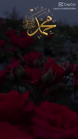 #dua #video #izmir35 #biryolcu 