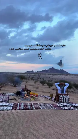حتى انت يا طير مثلي جاي كنك غريب همك خضر ما هقيت انك تشوف شجره كلمات / عامر عمار  اداء / عبد الله بن نعيم ‏الله عليكم صح لسانك  وصح صوتك ‏رووووعه ‏‏ تصميم فيديوهات شيلات🎶🎤🎬 اکسبلوررررررر تيك توك🌹 