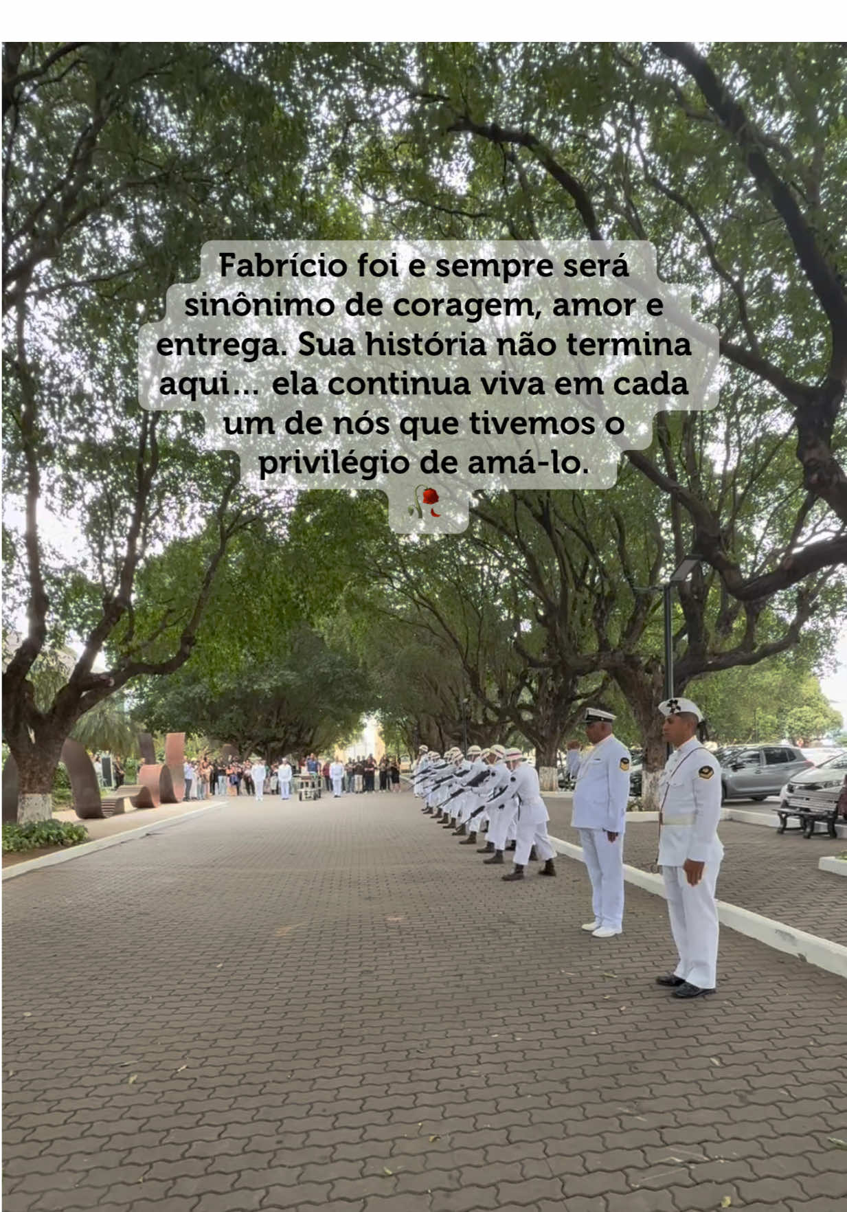 ✨ Quero agradecer de coração a cada pessoa que se uniu em oração pelo Fabrício. Cada palavra, cada gesto, cada pensamento de fé nos sustentou nos dias mais difíceis. Sei que o céu recebeu todas essas orações, e o amor de vocês foi um abraço invisível que fortaleceu nossa família. Que Deus retribua em dobro todo o carinho que recebemos. ✨ #foryoupage #fyp #luto #cancer 